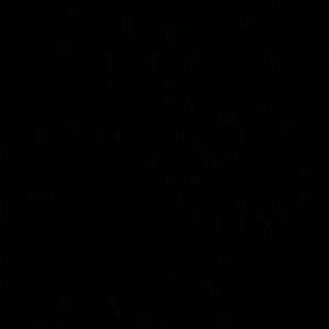 Meet your Posher, Sadie